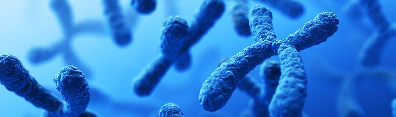 23andMe Bankruptcy: The Privacy Ombudsman’s Report