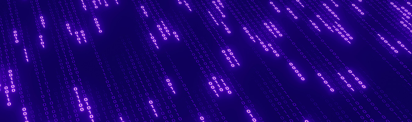 Algorithmic Pricing Software