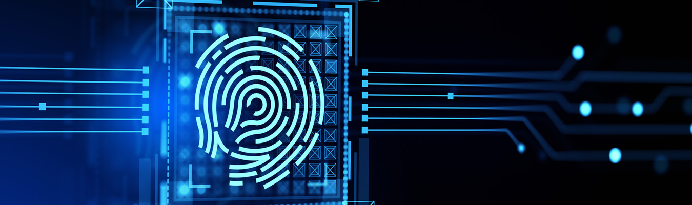 Overview of South Korea and Japan Privacy Enforcement (2020-Present)